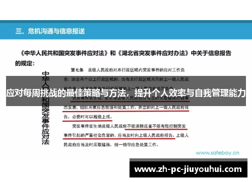 应对每周挑战的最佳策略与方法，提升个人效率与自我管理能力