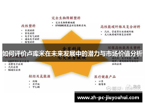 如何评价卢库米在未来发展中的潜力与市场价值分析