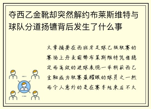 夺西乙金靴却突然解约布莱斯维特与球队分道扬镳背后发生了什么事